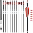 BOWSOUL 31Inch Carbon Arrows for Target Practice Hunting Arrow with Removable Tips for Compound & Recurve Bow(Pack of 12)