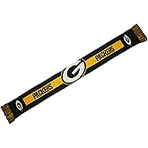 FOCO NFL Big Logo Scarf