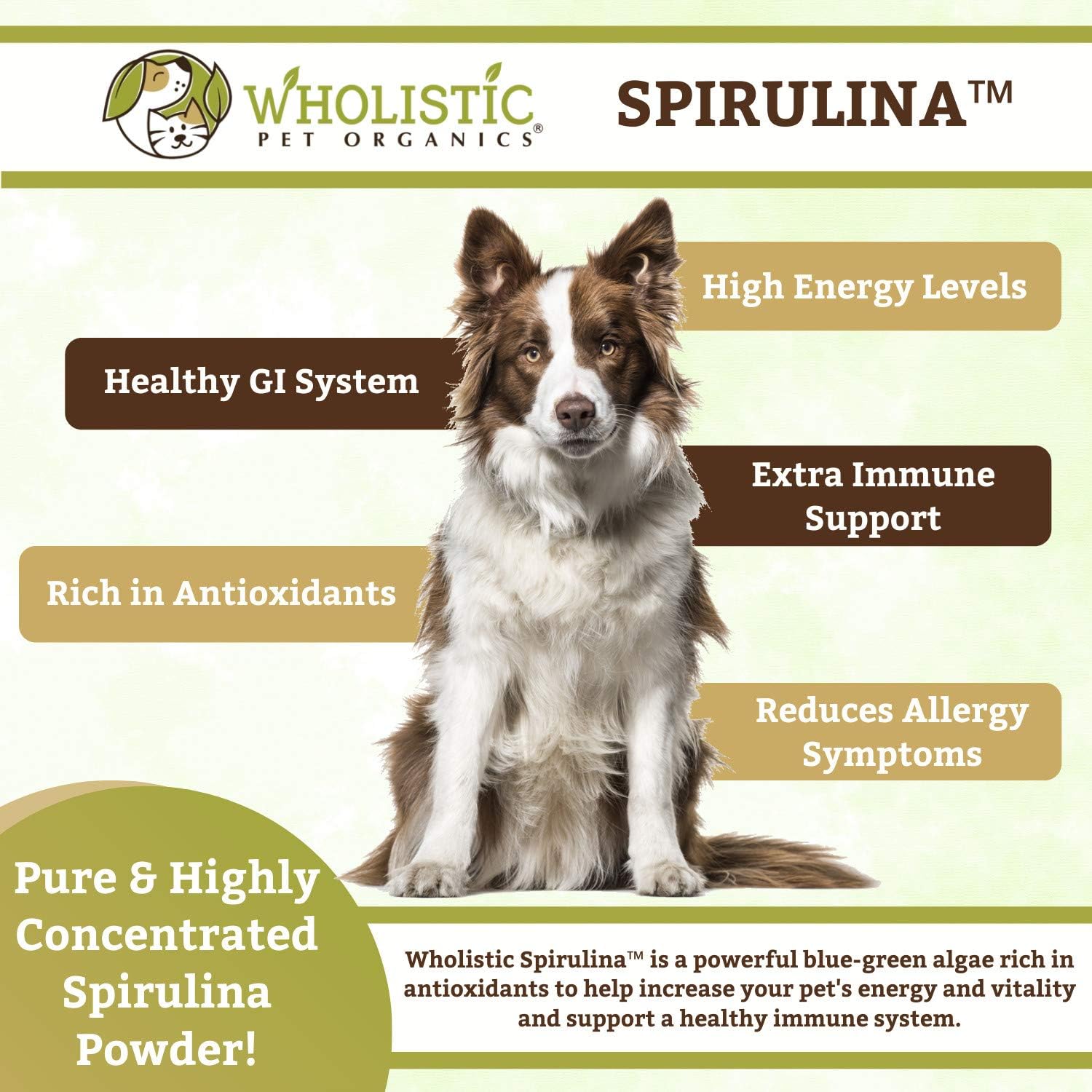 spirulina for dogs