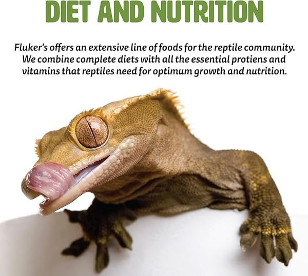 FLUKER’S FREEZE DRIED GRASSHOPPERS, NUTRIENT-PACKED, IDEAL FOR LIZARDS, REPTILES, BIRDS, FISH, HEDGEHOGS, 1.7 OZ