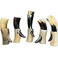 5x Viking Drinking Horn Cups 9" -15" | Viking gift for men 100% Natural Norse 10-14 oz Goblet Ale Mead Beer mug Wine with Stand (Large (9"-11"))
