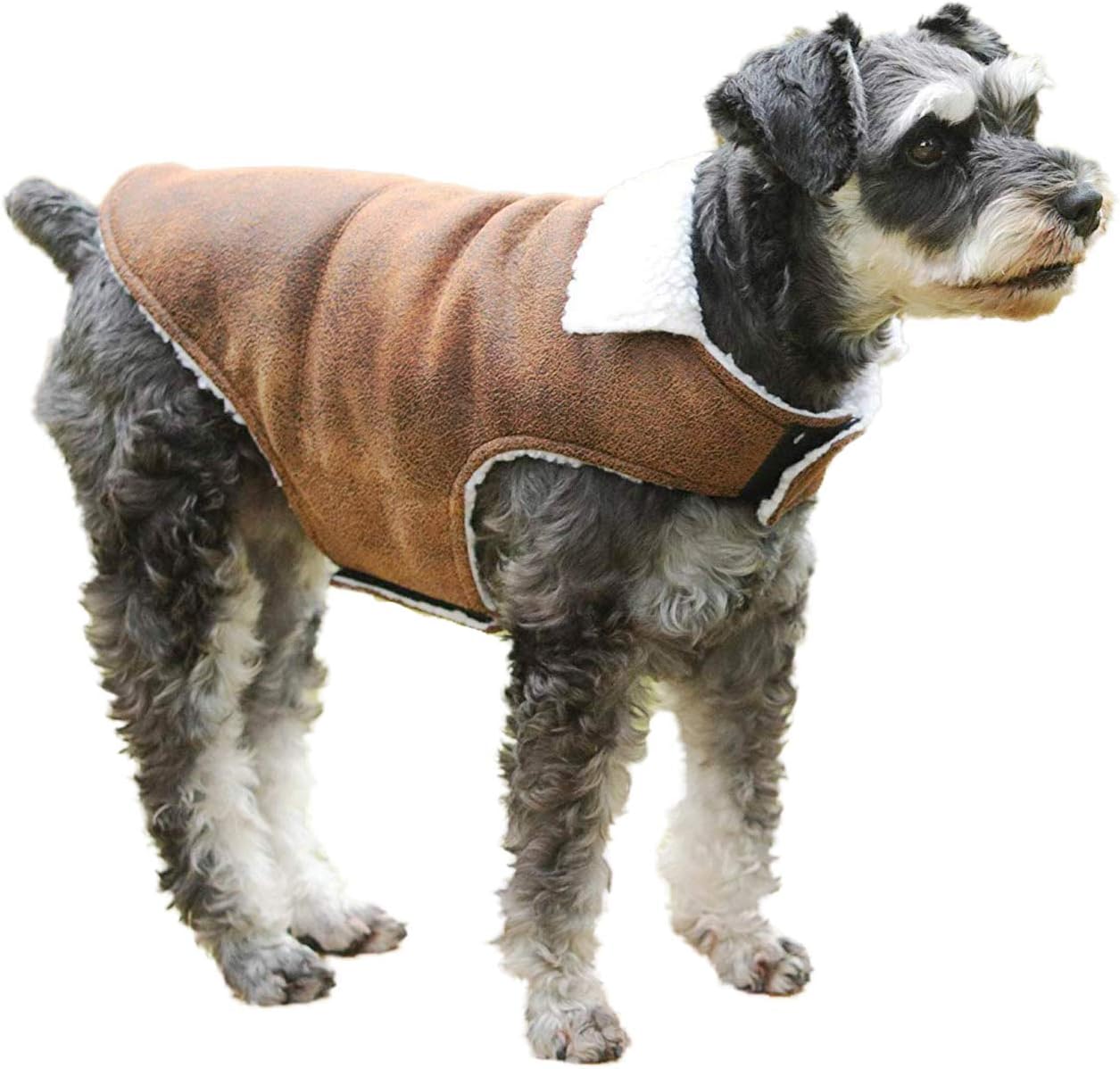 h&m dog jacket