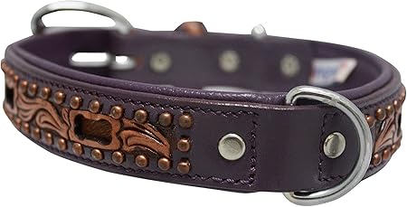 xl dog collars