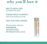 Burt's Bees Ultra Conditioning Lip Balm Intense Moisturising Kokum Shea 4.25g view 2