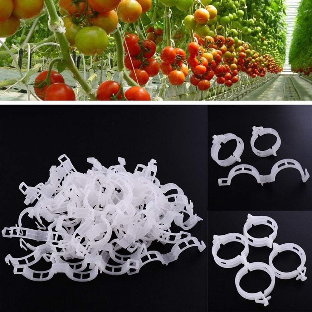 MAXGOODS - 500 Pinzas para Plantas, huerto, Tornillos, Tomates ...