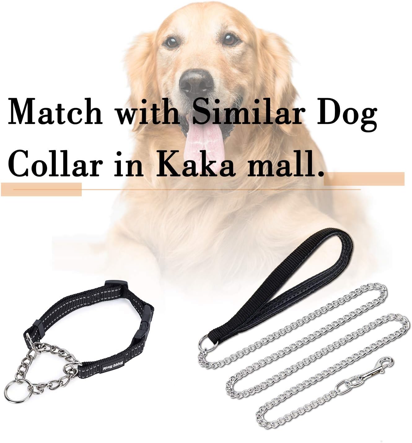 PETTOM Strong Dog Lead Chain 1.8m Chew Proof Metal Dog Leash 4ft Heavy Duty No Bite Lead for Puppies Small Medium Large Dogs - Image 5