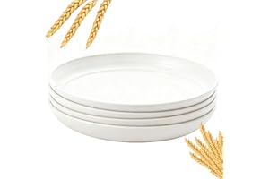 Deep Dinner Plates Set of 4,Wheat Straw Plates,Plastic Plates 9 Inch Microwave and Dishwasher Safe Plates for Camping, RV, Pa