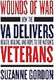 Wounds of War: How the VA Delivers Health, Healing, and Hope to the Nation's Veterans (The Culture and Politics of Health Care Work)