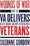 Wounds of War: How the VA Delivers Health, Healing, and Hope to the Nation's Veterans (The Culture and Politics of…