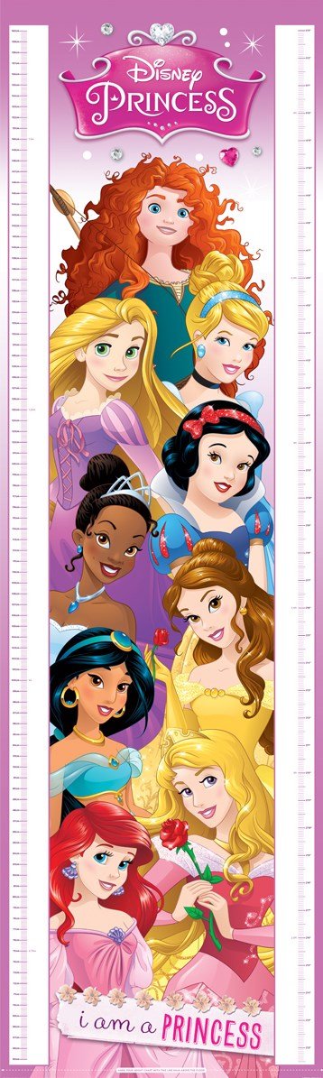 Disney Princesses Height Chart Buy Online In Jordan At Desertcart