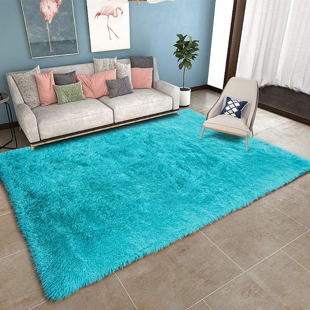 Best Fluffy Living Room Carpet
