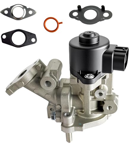 Amazon.com: Genuine Honda 18011-RCA-A00 EGR Valve Set : Automotive