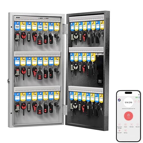 DiDiHere 48-Key Key Lock Box Wall Mount, Smart Key Management Cabinet ...