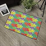 Clear printed pattern door mat W19 x L31 INCH