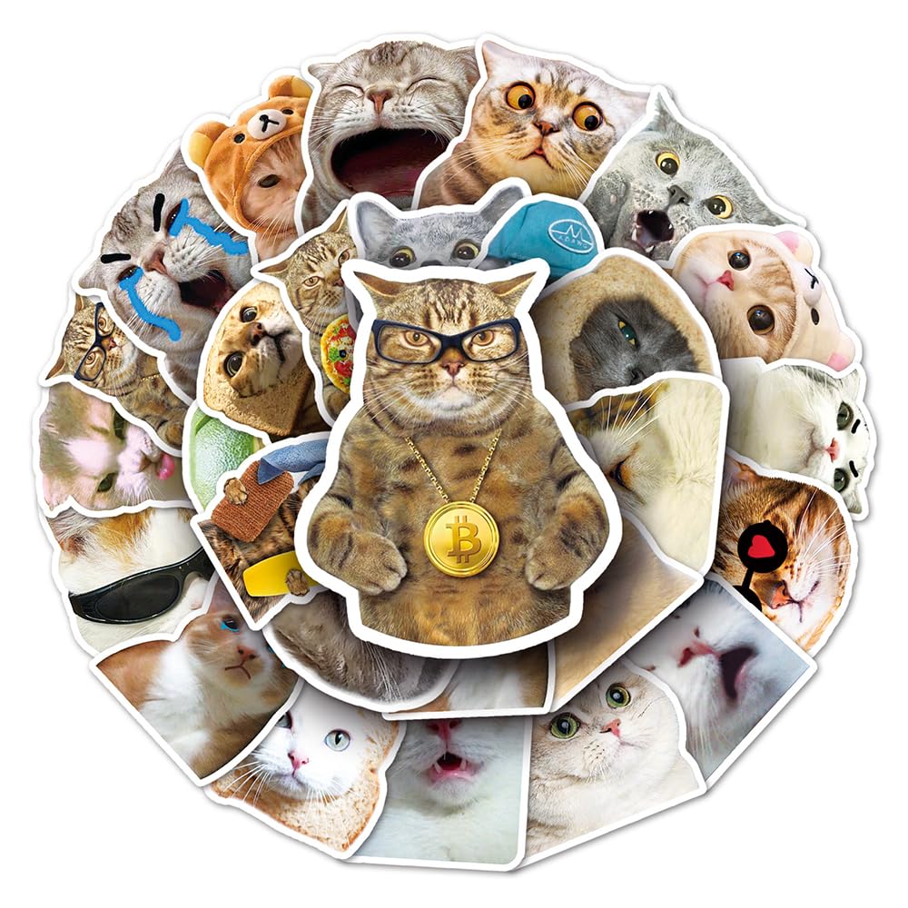 Funny Cat Vinyl Stickers, 50 PCS Waterproof Realistic Animal Decals for Laptops, Scrapbooking, Journals, Notebooks, Water Bottles, Suitcases, Phones & DIY Decor