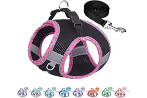 AIITLE Durable Dog Harness and Leash Set for Walking, Step in Vest Harness, Reflective Bands, Soft Breathable Pet Supplies, for Extra Small Dogs and House Cats Black XXXS