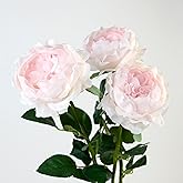 MOBENOOK Artificial Austin Roses 3PCS Real Touch Rose Flowers Pink Faux Silk Flowers for Wedding Party Home Decor Flower Arrangement