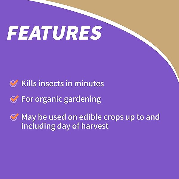 BONIDE INSECTICIDAL SOAP, 32 OZ READY-TO-USE SPRAY MULTI-PURPOSE INSECT CONTROL FOR ORGANIC GARDENING INDOOR AND OUTDOOR