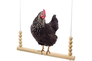 Backyard Barnyard Chicken Swing Handmade in USA!!! ! Toy for Coop (Round Bar) Natural Safe Large Wood Perch Ladder for Poultry Run Rooster Hens Chicks Pet Parrots Pollo Stress Relief for Birds