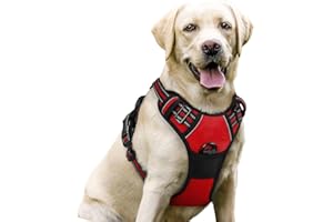 Dog Harness, No-Pull Pet Harness with 2 Leash Clips, Adjustable Soft Padded Dog Vest, Reflective No-Choke Pet Oxford Vest wit