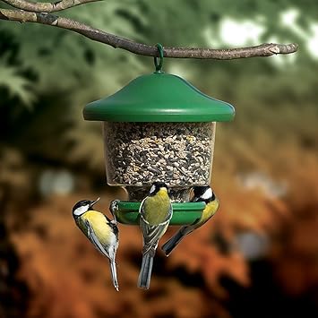 Hanging Lantern Garden Bird Feeder My Favourites Easy Fill