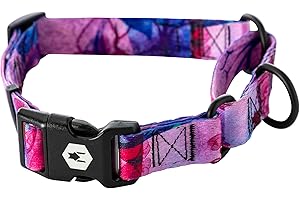 WOLFGANG MAN & BEAST Wolfgang Heavy Duty Martingale Dog Collar with Quick Release Nylon Buckle for Walking & Training, Daydream Print, Medium