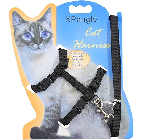 amazon cat harness and lead