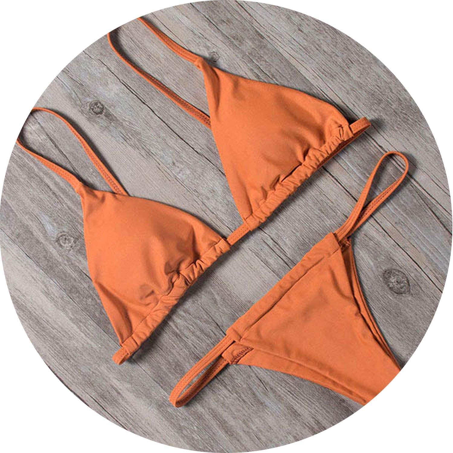 Which Is The Best Genie Interlin