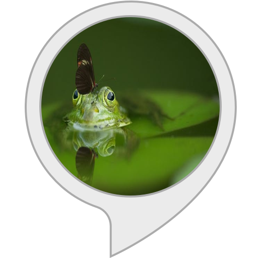 Coqui Frog Sounds by Sleep Jar® Alexa Skills
