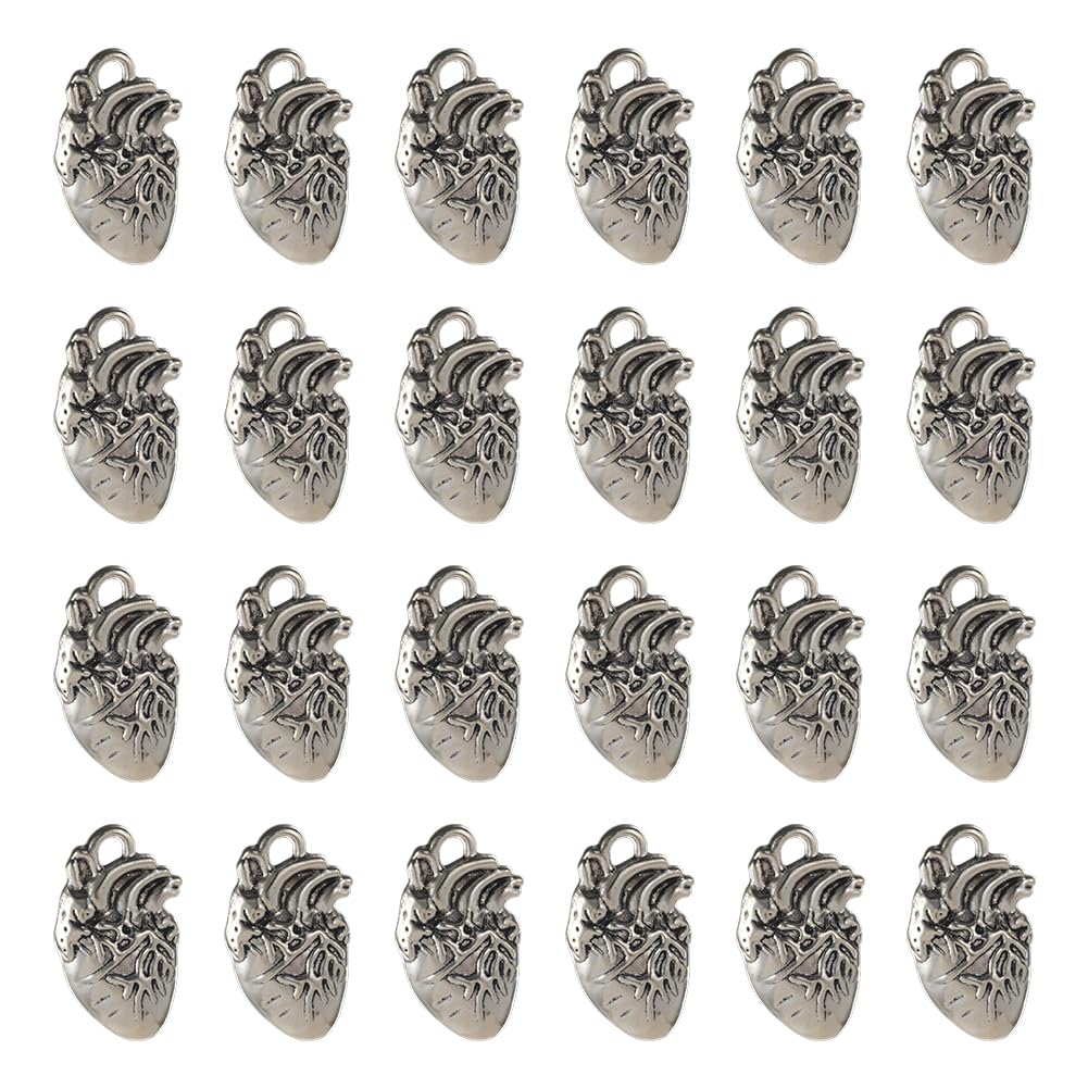 SUNNYCLUE 1 Box 50Pcs Gothic Heart Charms Bulk Silver Hearts Charms Tibetan Style Alloy Pendants Metal 3D Anatomical Organ Halloween Charm for jewellery Making Charms DIY Necklace Earrings Women Adult