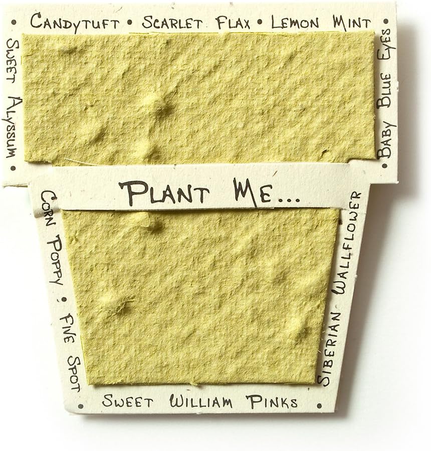 Amazon Com Bloomin Mini Chartreuse Pot Shaped Seed Paper Enclosure Cards 9 Card Set Perfect For Valentine S Day Mother S Day And Wedding Anniversaries Size 2 25 X 2 25 Health Personal Care