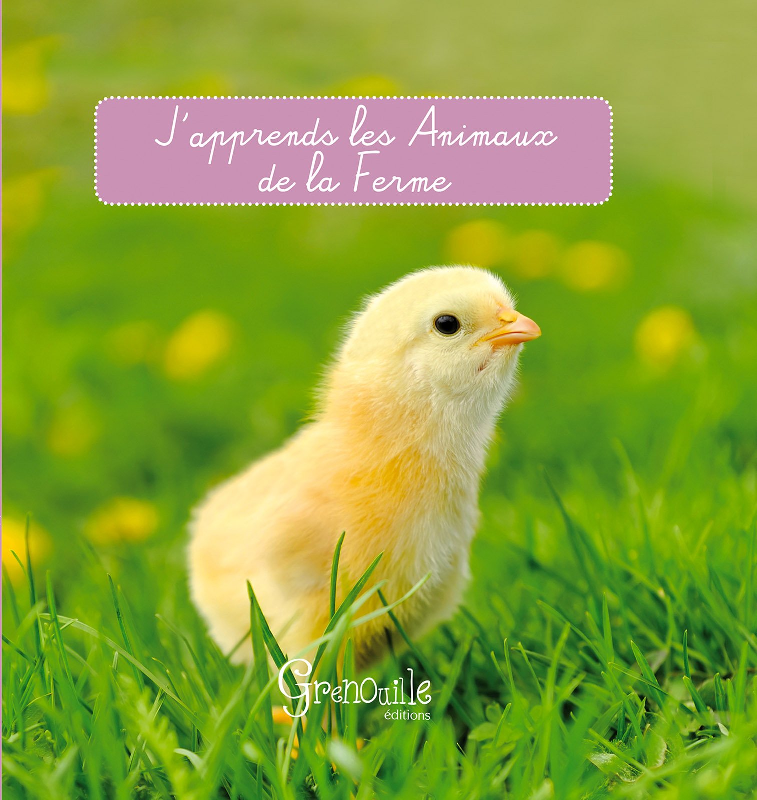 Japprends Les Animaux De La Ferme Amazoncouk Céline