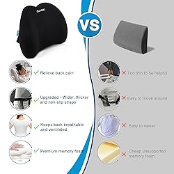 QUTOOL Lumbar Support Pillow for Office