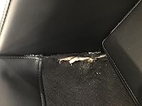 Review Image by Amazon Customer