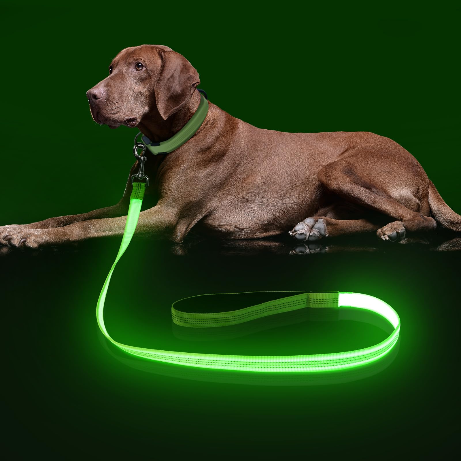 Colaseeme LED Dog Lead Light Up - 4 Feet, Micro USB Rechargeable, Nylon Webbing Glow Safety Standard Dog Leash (Green, 120 cm) โ image 1