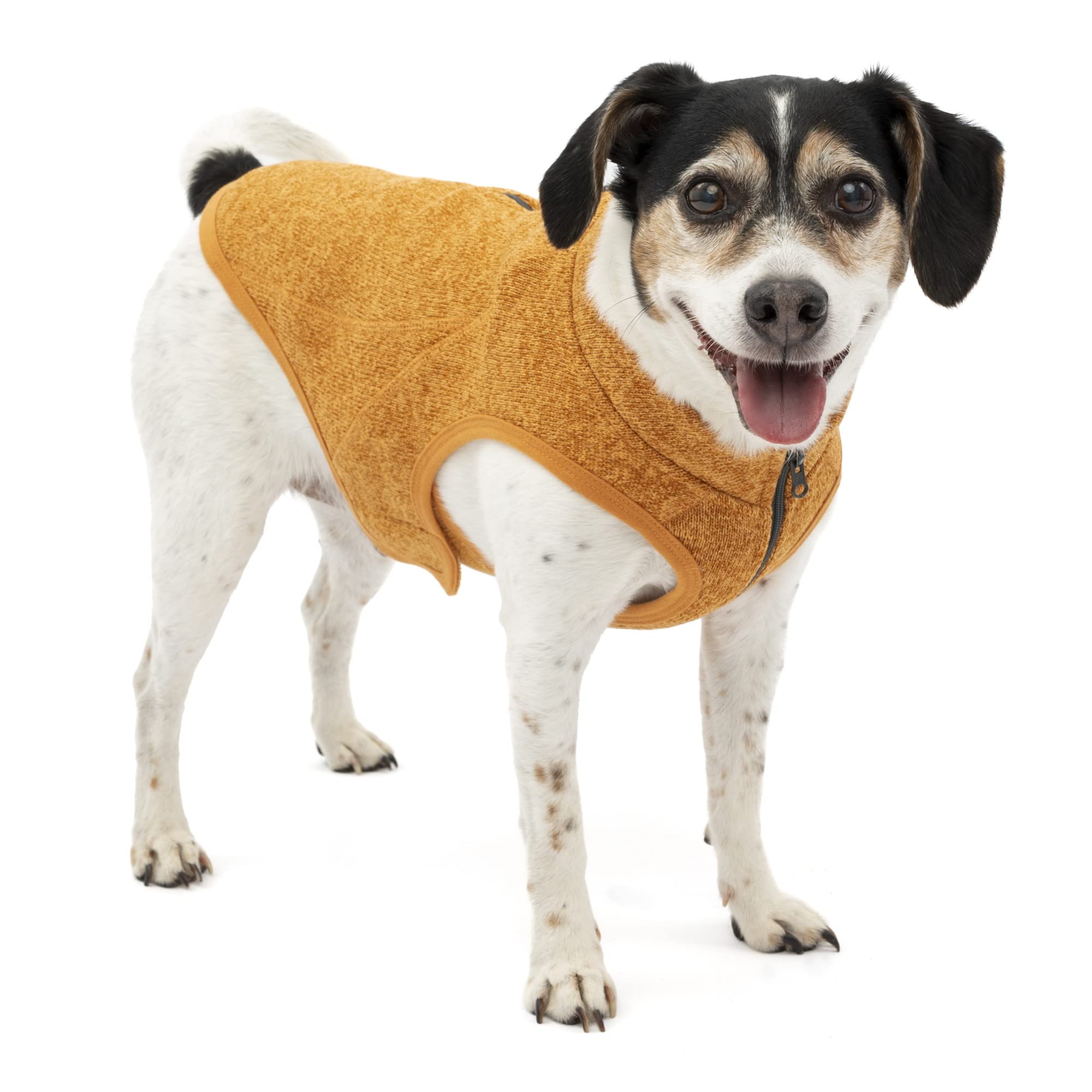 Photo 1 of Kurgo Core Dog Sweater, Knit Dog Sweater with Fleece Lining, Cold Weather Pet Jacket, Zipper Opening for Harness, Adjustable Neck, Year-Round Sweater for Small Dogs (Heather Orange, Small)