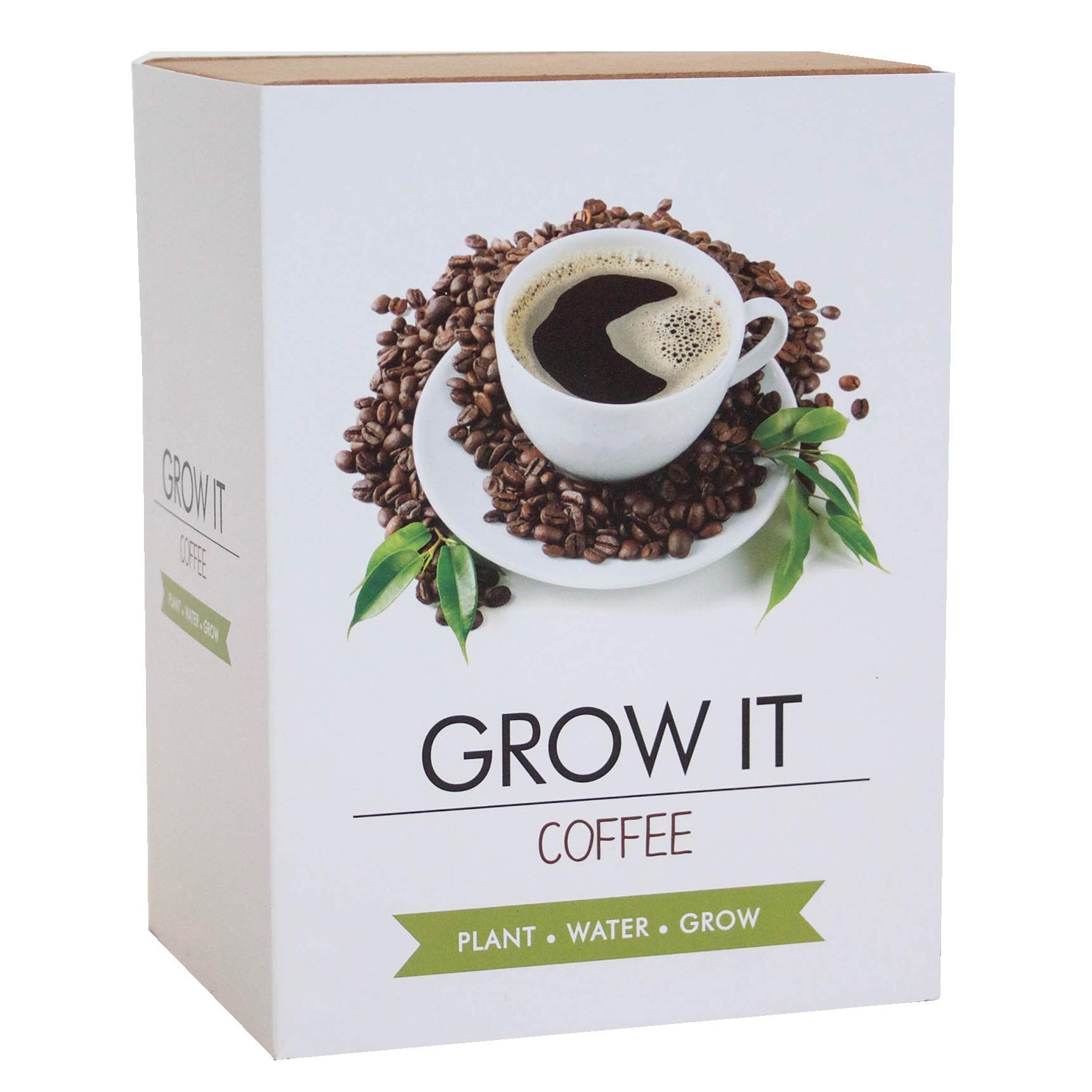 Gift Republic GR200033 Coffee Grow It, 19.5 cm*3.5 cm*12.5 cm
