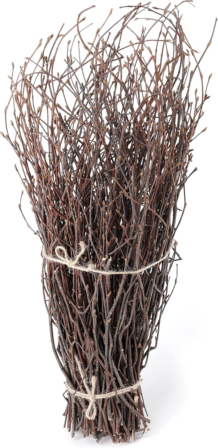 SOUJOY 100 PCS Birch Twigs for Vase, 40cm Natural Dried Birch Branches, Craft Decoration Birch Stick for DIY, Centerpieces, Home, Office, Wedding Arrangement