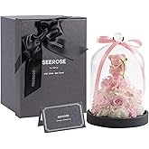 SEEROSE Preserved Rose with Cupid Bear in Glass Dome, Eternal Real Rose Romantic Gift for Her, Women, Mom, Wife, Girlfriend, Valentine’s Day, Mother’s Day, Christmas, Birthday (Cupid Bear, Pink)