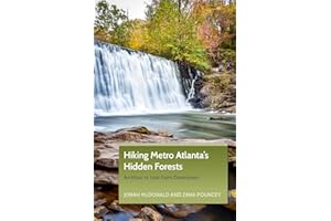 Hiking Metro Atlanta's Hidden Forests: An Hour or Less from Downtown