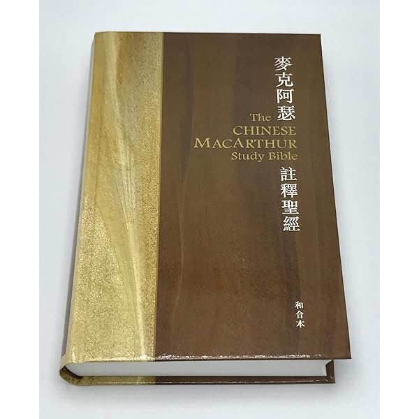 Amazon.com: MacArthur Study Bible (Simplified Chinese