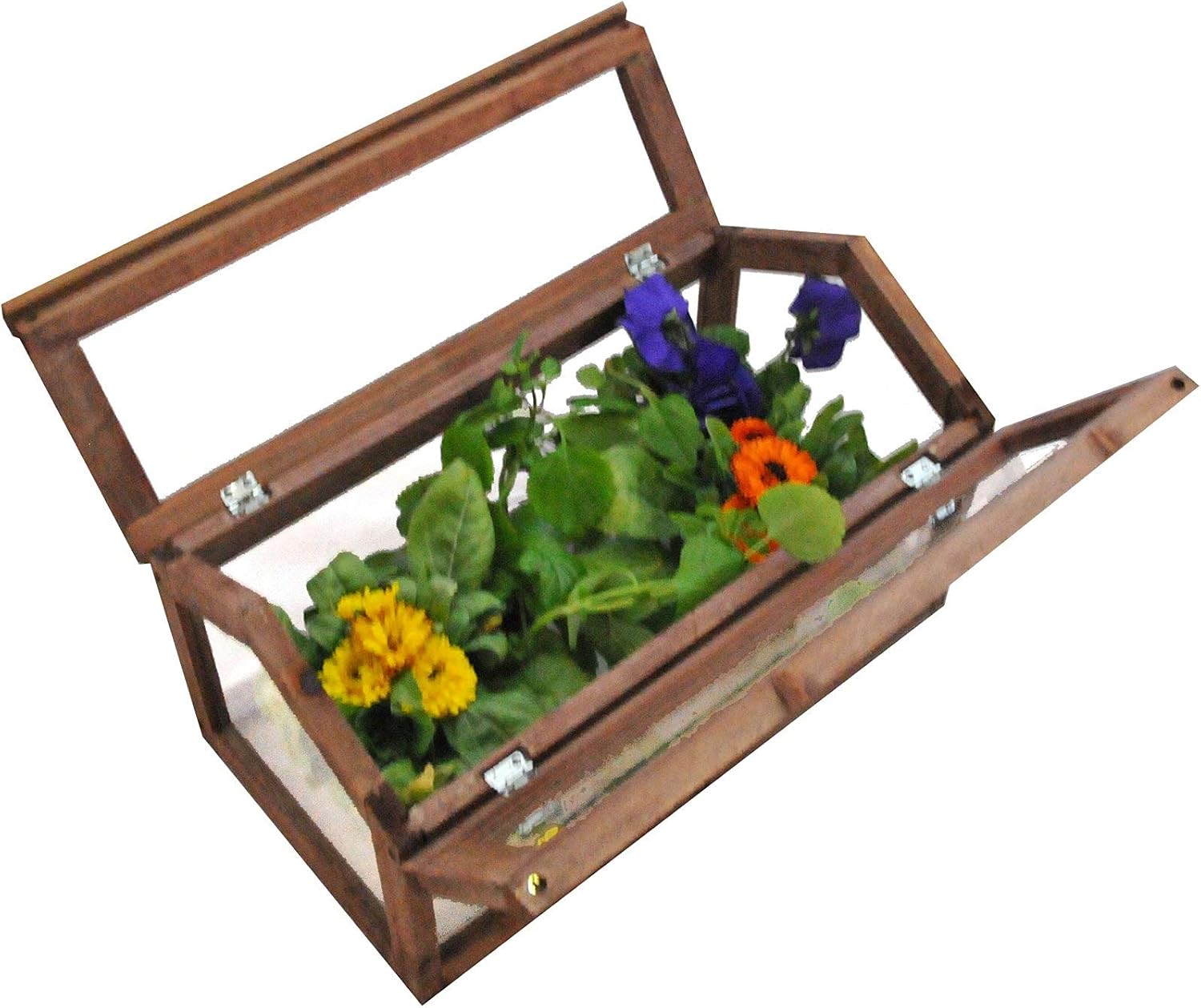 Invernadero Gardiun Narciso 51x31x30, 5 cm: Amazon.es: Jardín