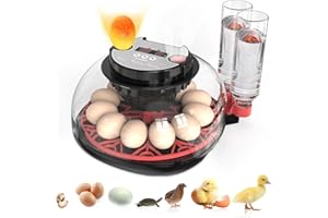 SYLVANSPARKKITCHEN Incubators for Hatching Eggs Automatic Egg Incubator with Temperature Control Humidity Display 12 Egg Capacity for Chicken Duck Goose Eggs Digital Display Auto Turner 360° View