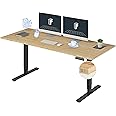FLEXISPOT E6 Essential Bamboo 3 Stages Dual Motor 72x30 Inch Electric Height Adjustable Standing Desk Whole-Piece Board Desk Sit Stand Up Desk (Black Frame + Bamboo Desktop)