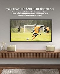 MLOVE Retro Portable Bluetooth Speaker with Aux
