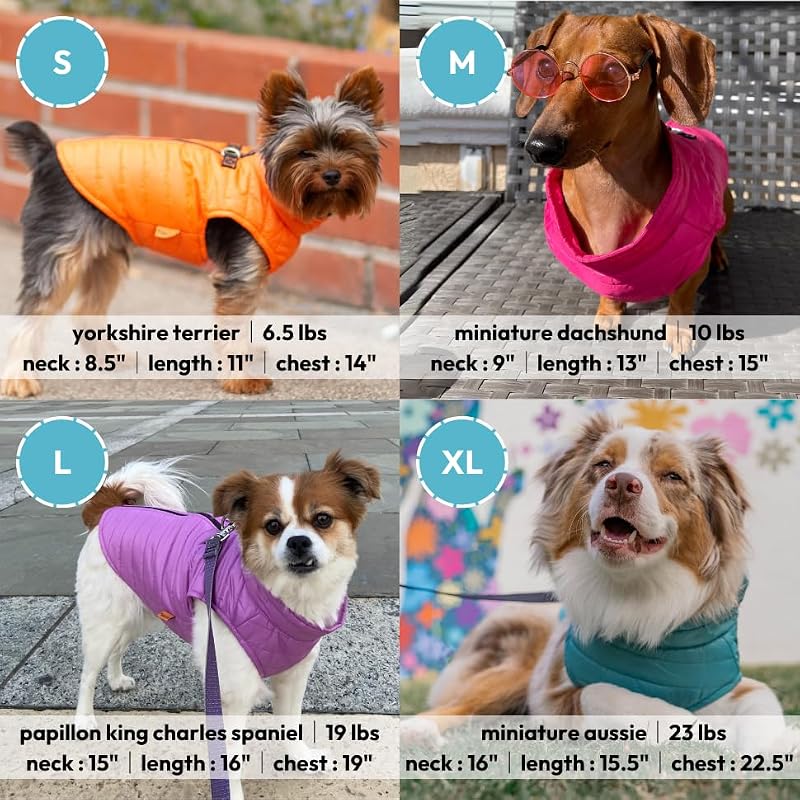 Puffer Weste Hundejacke – Türkis, Groß – Ultra Dünn Reißverschluss Windbreaker mit Dual D Ring Leine – Wasserabweisend Kleiner Hund Pullover Mantel – Hundekleidung für Kleine Hunde Junge oder