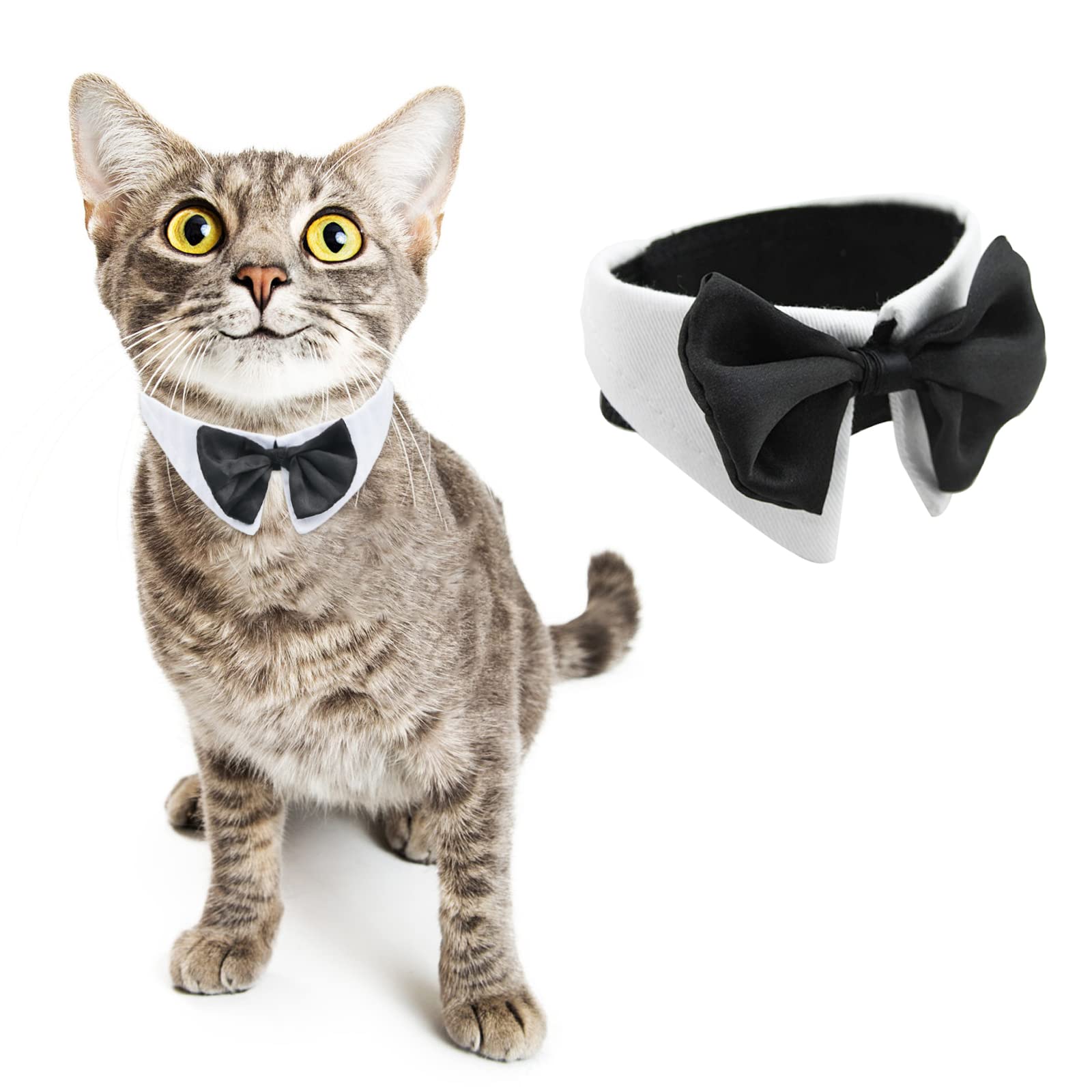 HACRAHO Formal Dog Bow Tie, 1 PCS White Adjustable Formal Pet Bow Tie Collar Pet Costume Collar with Bow Tie for Wedding Birthdays for Small Dogs and Cats, M