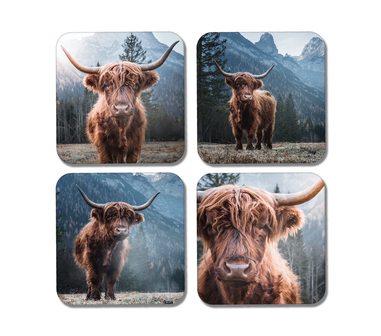 DV DESIGN 4 x Square Highland Cows Coasters - Animals Cattle Scottish Cow Coaster Gift #77889