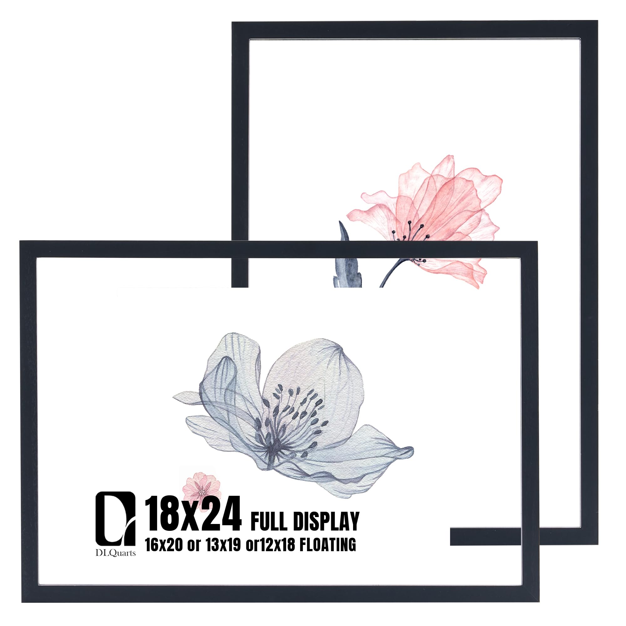 Photo 1 of (ONLY 1) DLQuarts 18x24 Floating Picture Frame for 16x20/13x19/12x18/11x14 Photos, 2-Pack Solid Wood Double Plexiglass Wall Art Frames, Any Size Photo up to 18x24 Display, Black