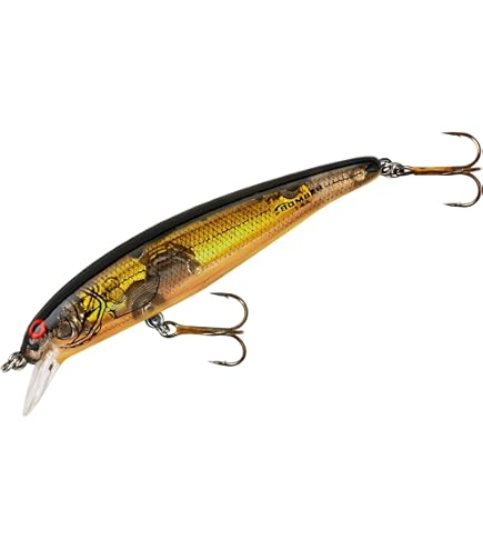 DAIWA - トラウトルアー Amazon.com : Daiwa Trout Silver Creek Minnow Red Gold 44S